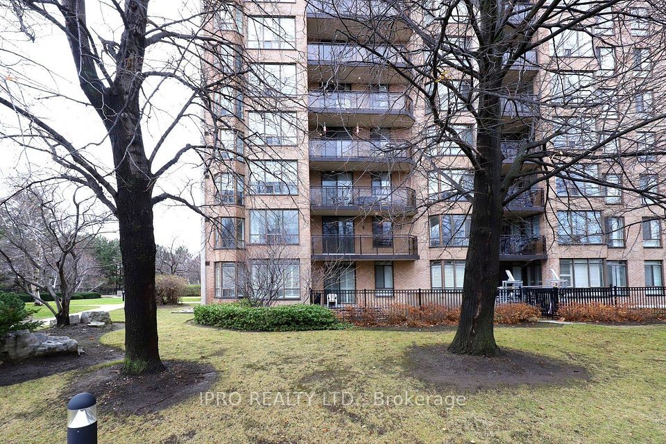 20 Cherrytree