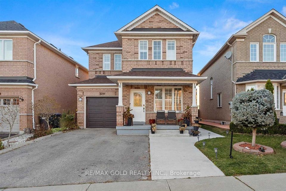 3259 Scotch Pine