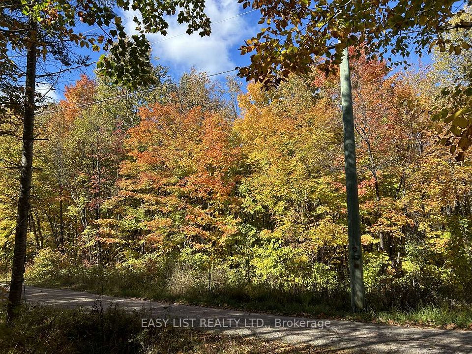 833 Hamilton Lake Road, Machar, ON P0A 1X0