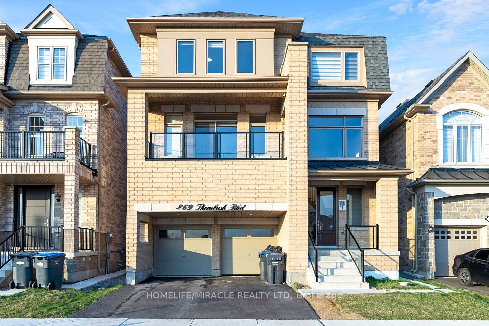 269 Thornbush