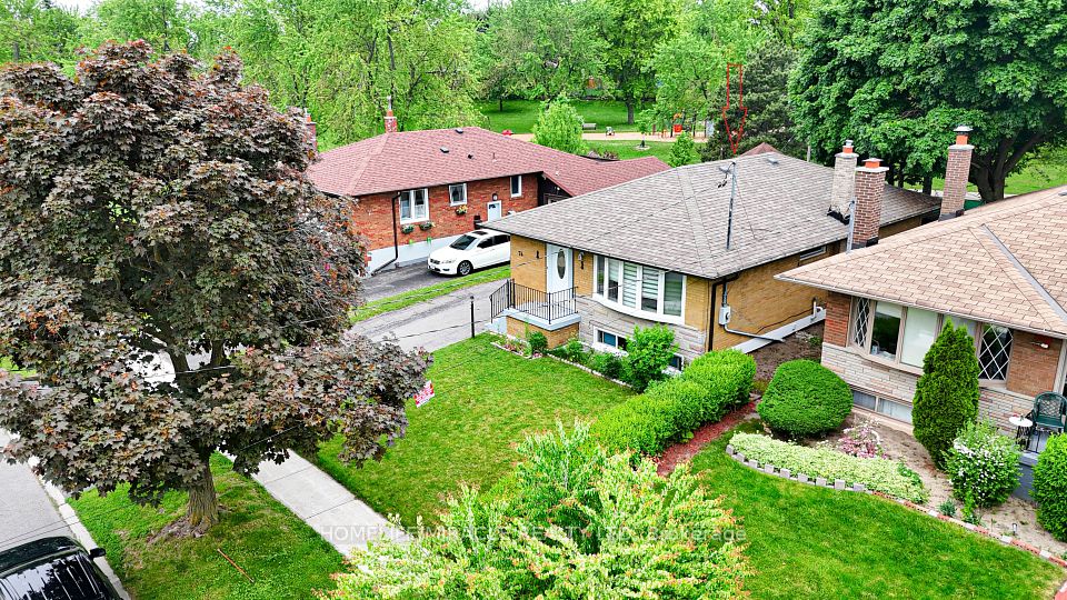 74 Mountland