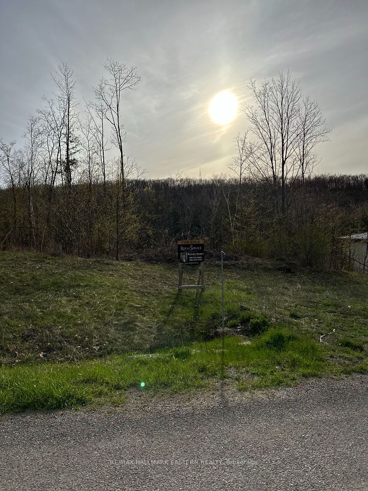 62 Trent View
