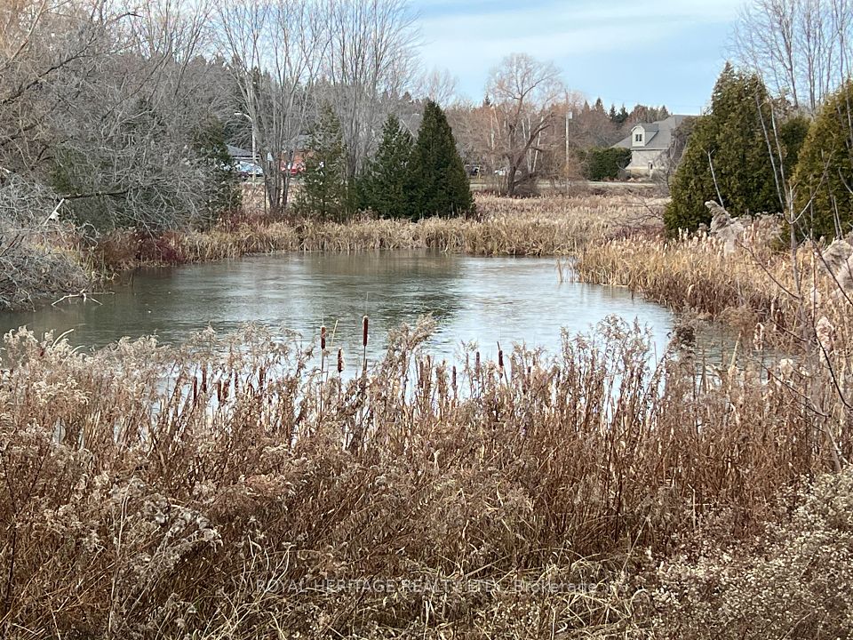 Hampton Mill Pond