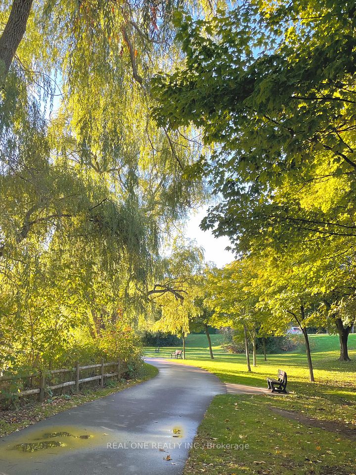 TooGood Pond Trail