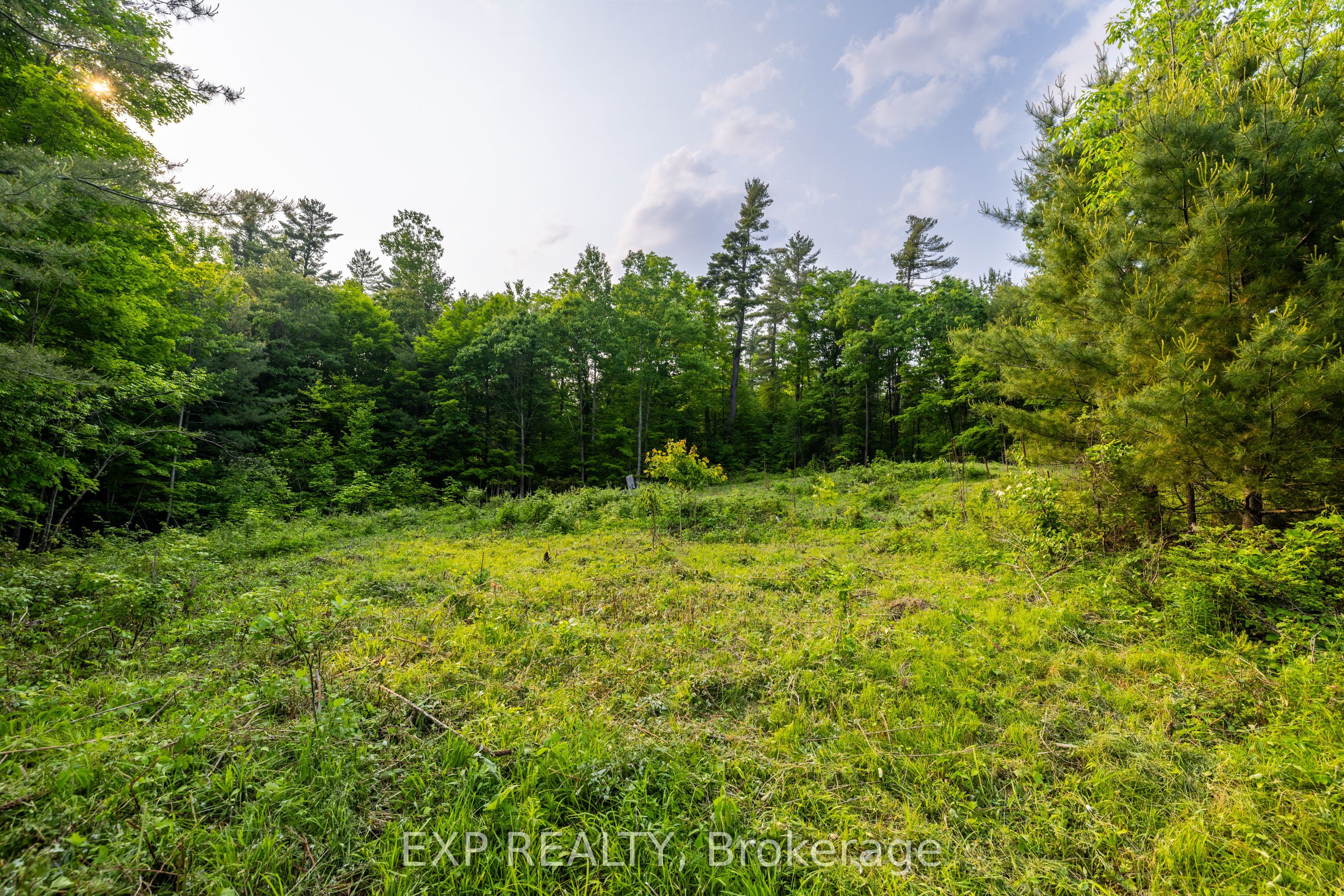 Listing picture