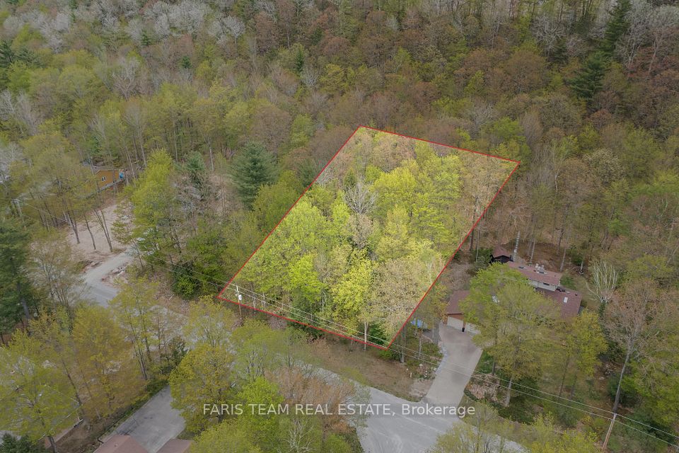 97 Tall Pines