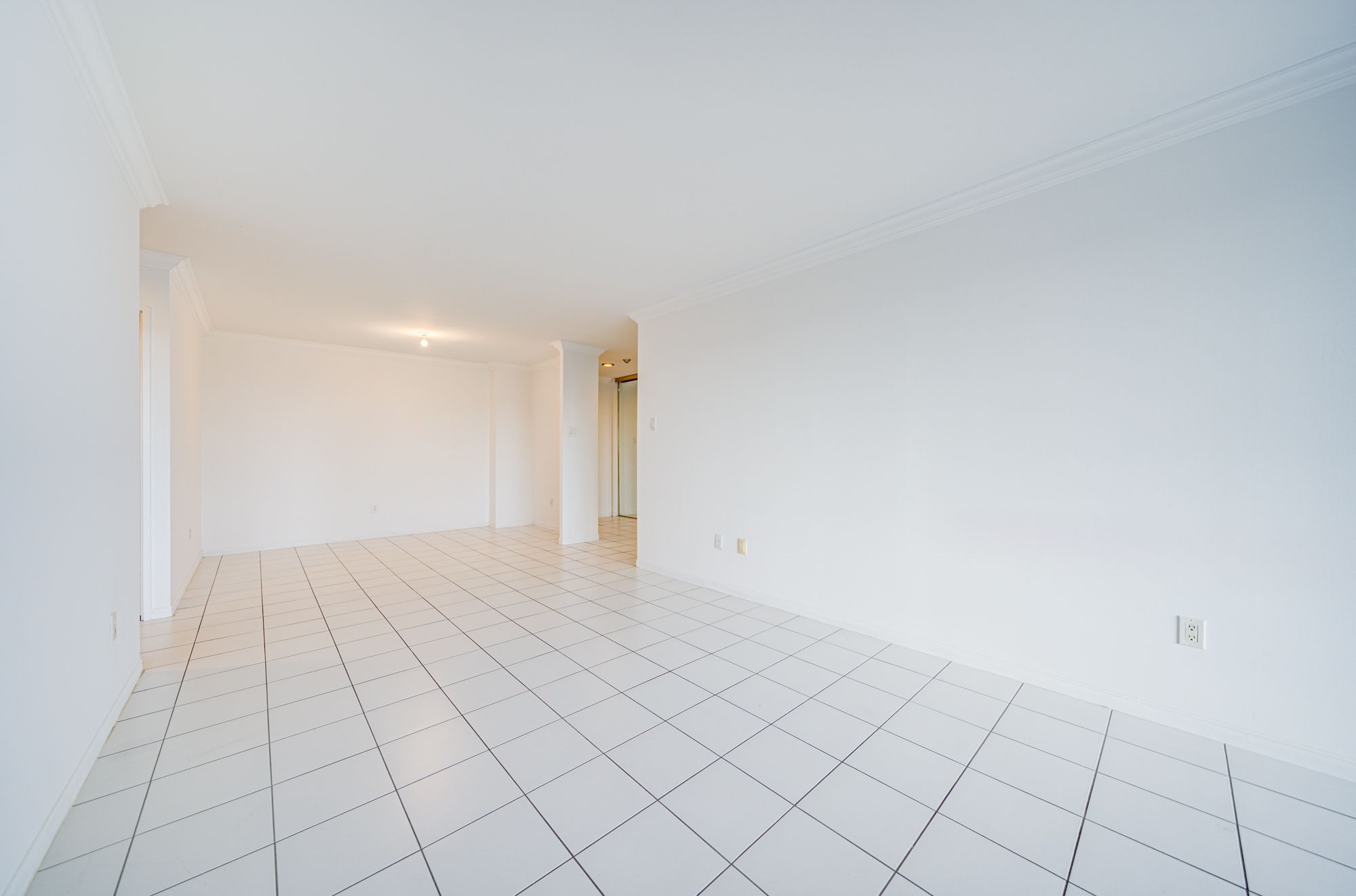 11 Townsgate Drive 1204