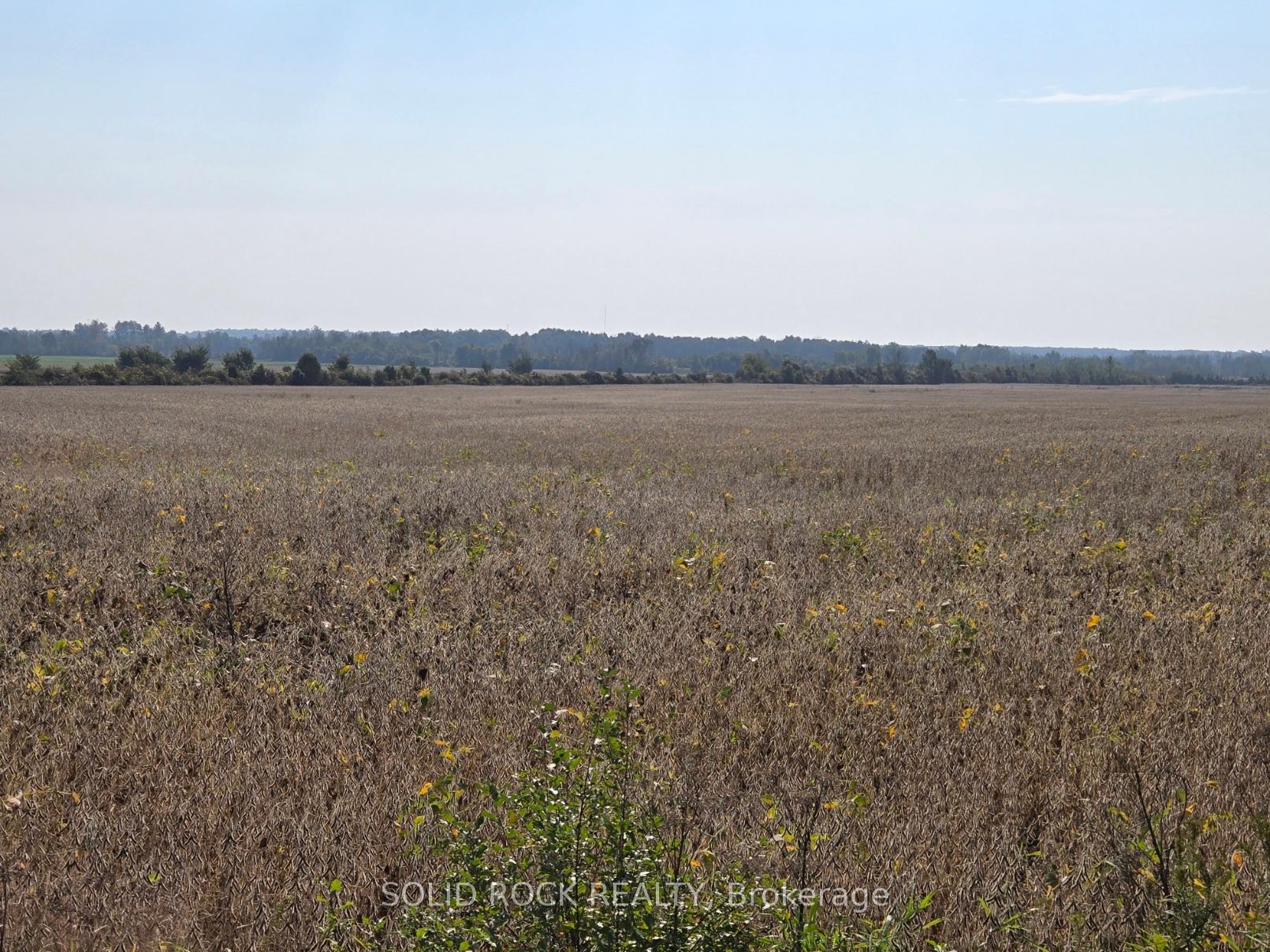5353 Algonquin Road ; MLS ID: X11952609