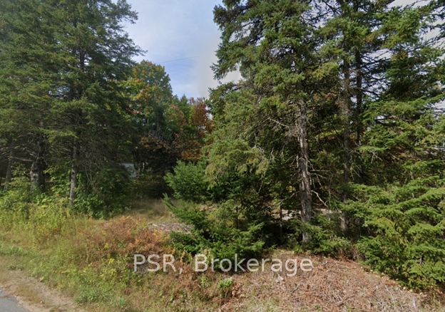 Plot 143 Lot 12, McMurrich/Monteith, ON P0A 1Y0