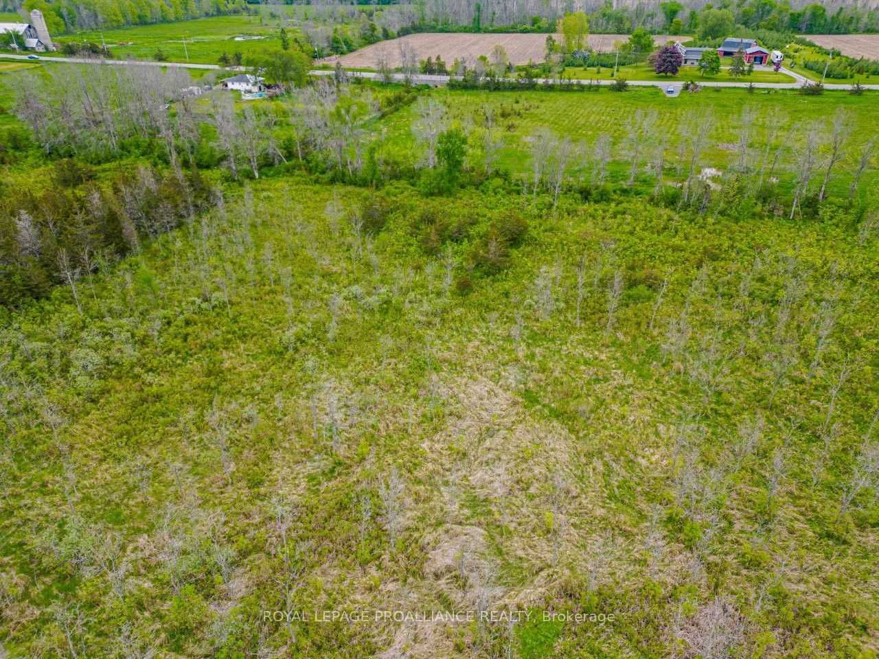 Pt Lt 6 County Road 8, Greater Napanee, ON K7R 3K7
