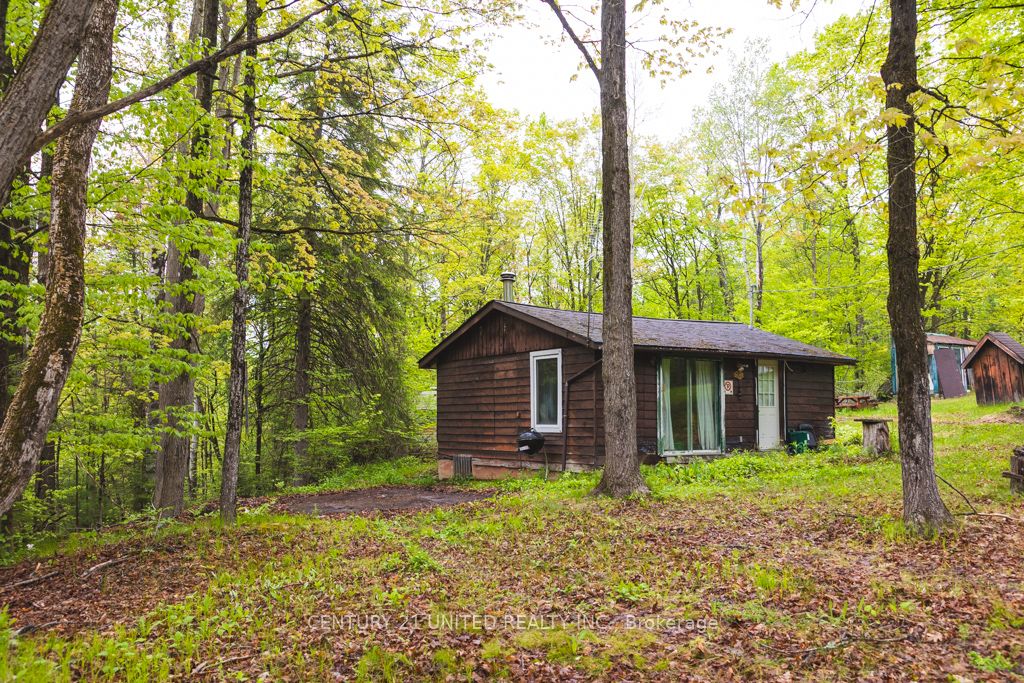 4 Pine Grove Road, Trent Hills, ON K0K 2M0