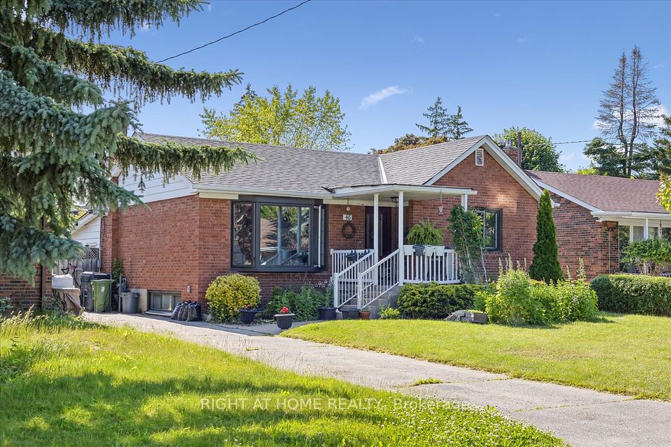 46 Ivorwood