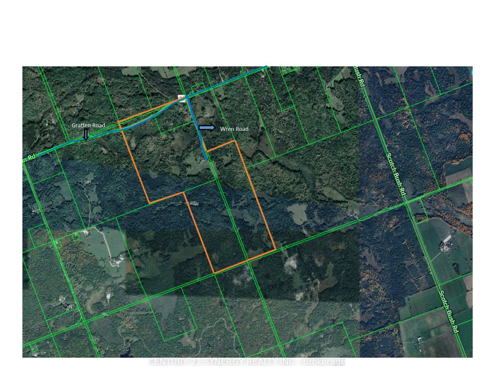 Slide 1