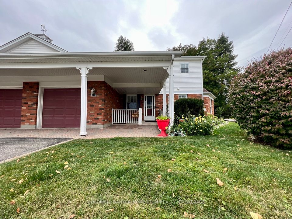 4114-1 Butternut
