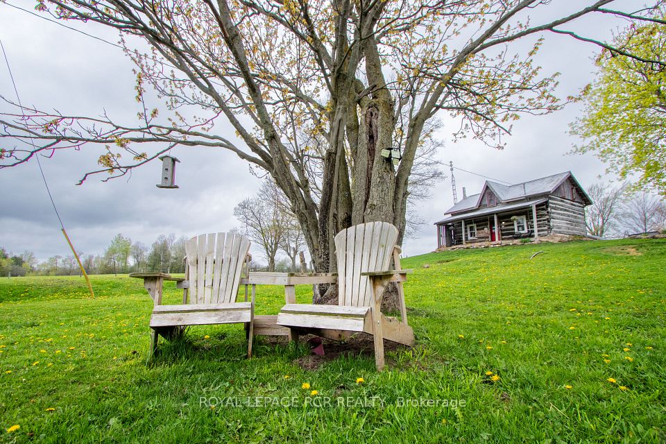 125795 Southgate Rd 12