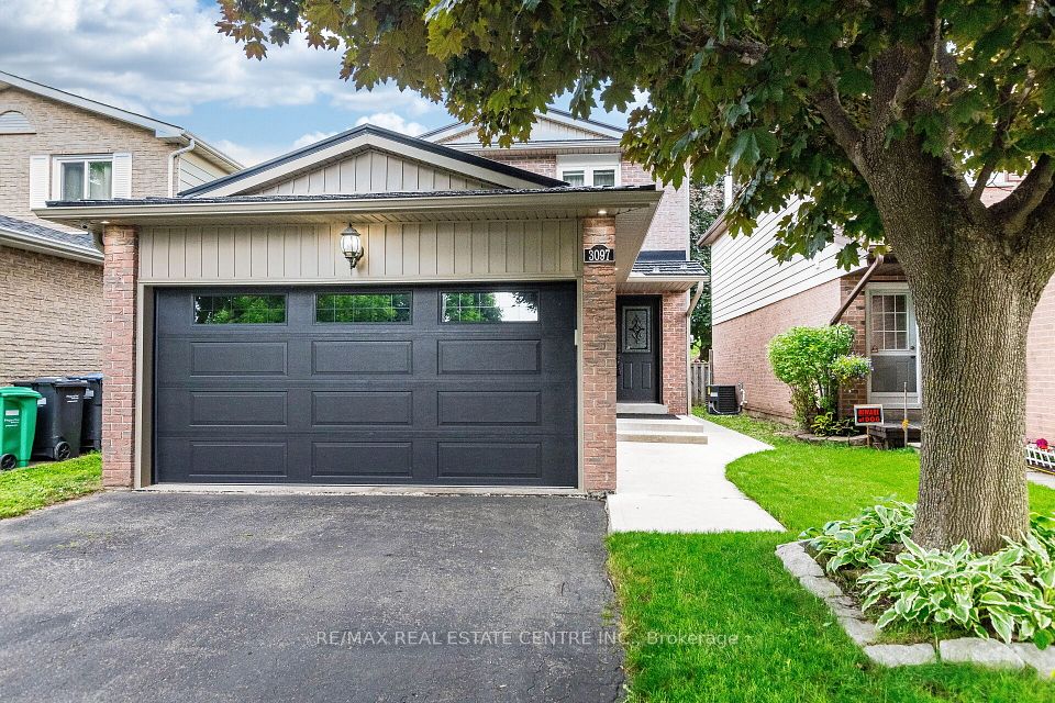 3097 Plum Tree