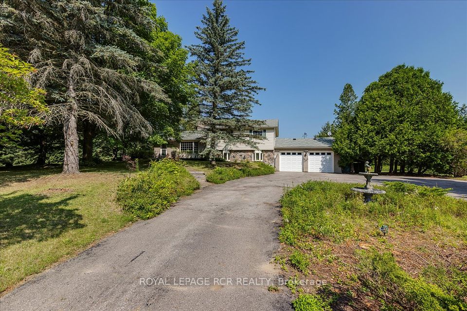 3990 Mount Albert