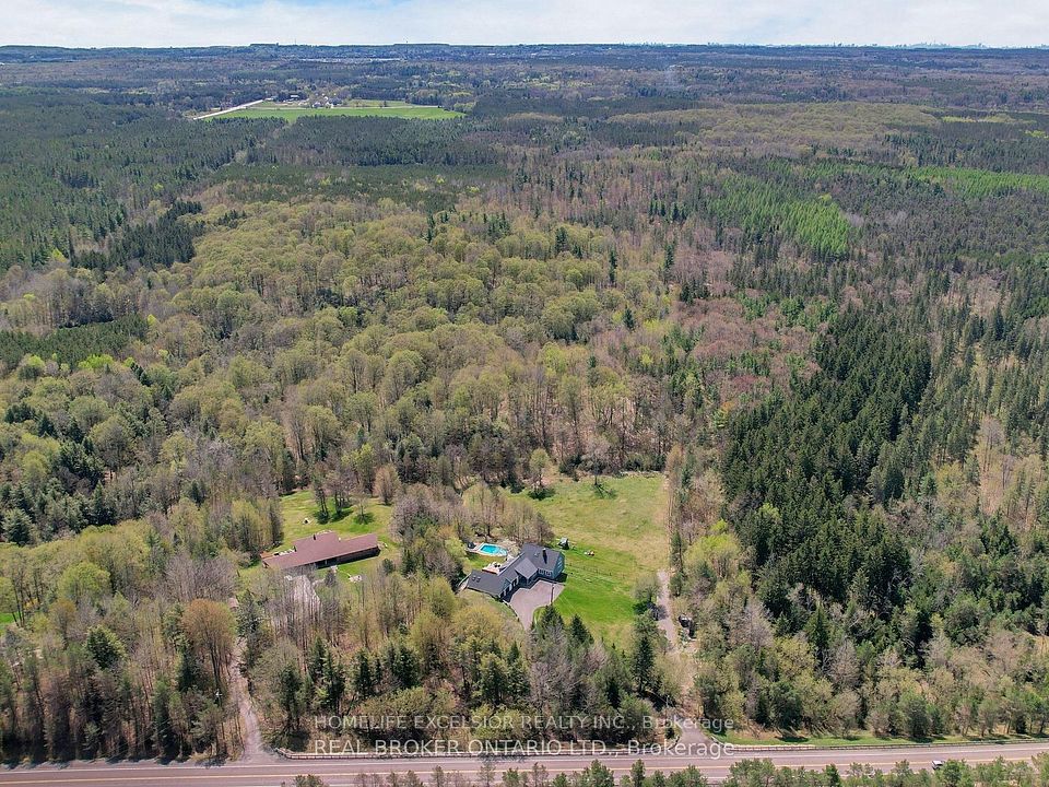 10 Acres backing onto regional forest