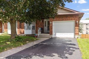 23 WILMOT YOUNG