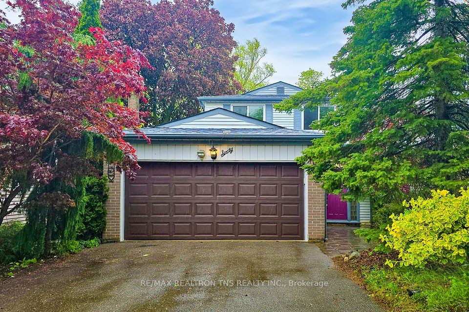 60 Springhead