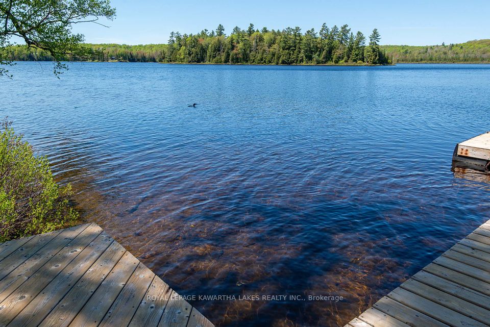 1307 Adanac Road, Highlands East, ON K0L 1M0