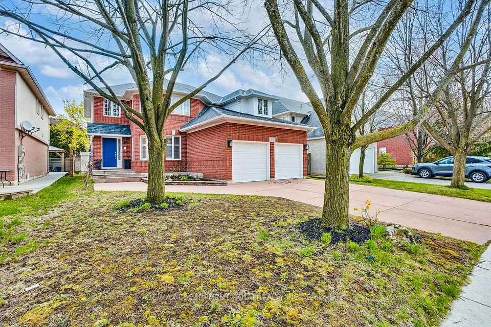 113 Meadowlands