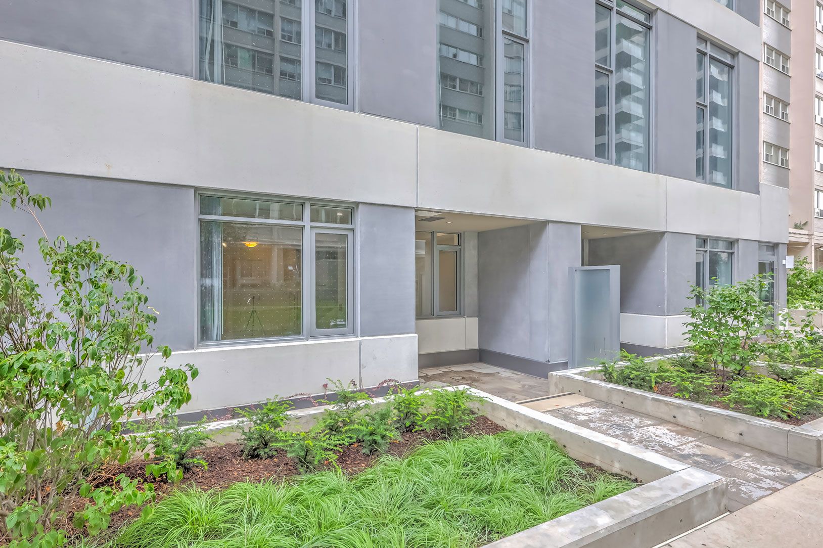 50 Dunfield Avenue TH116