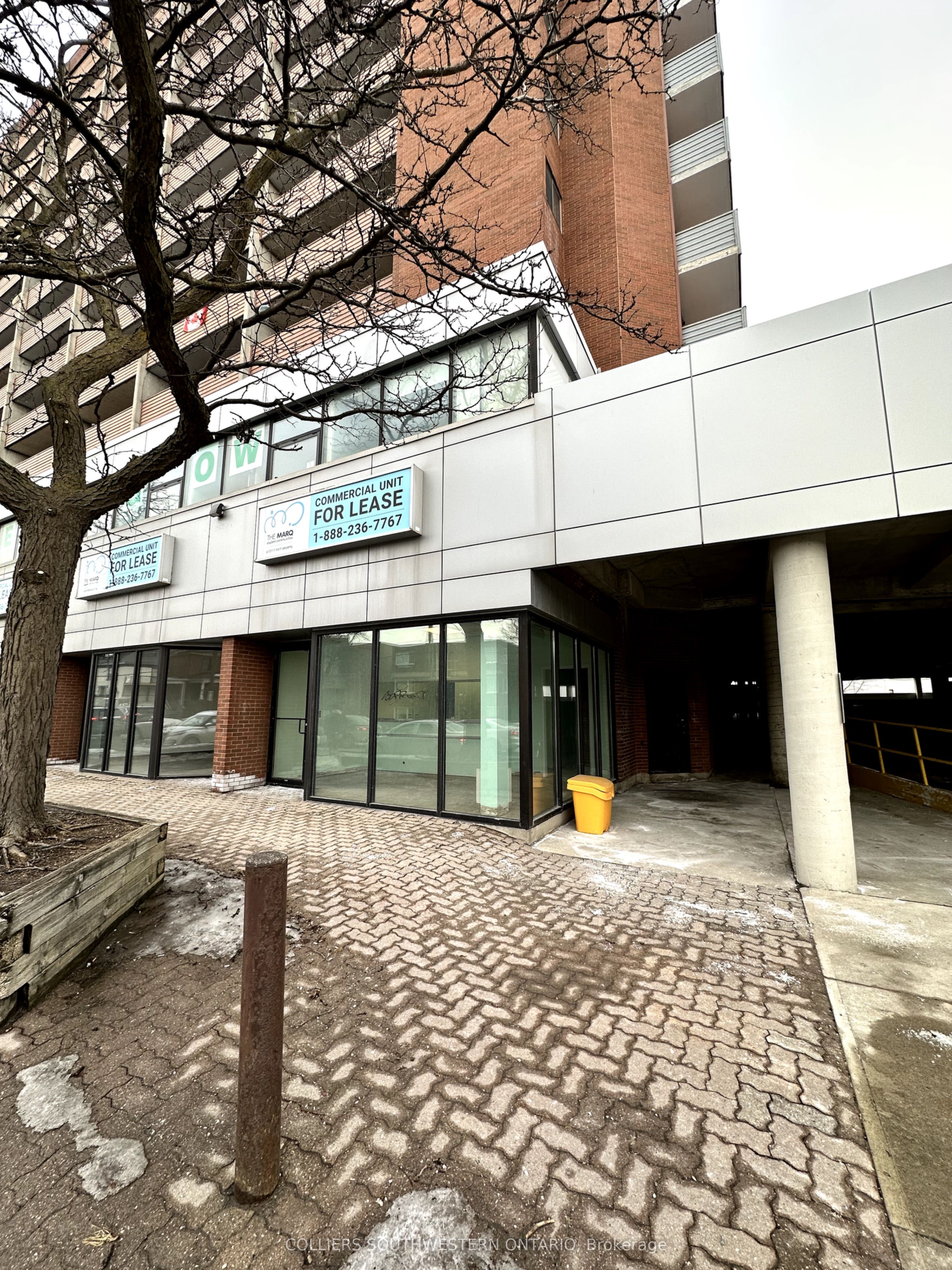 205 Oxford Street E, #C109