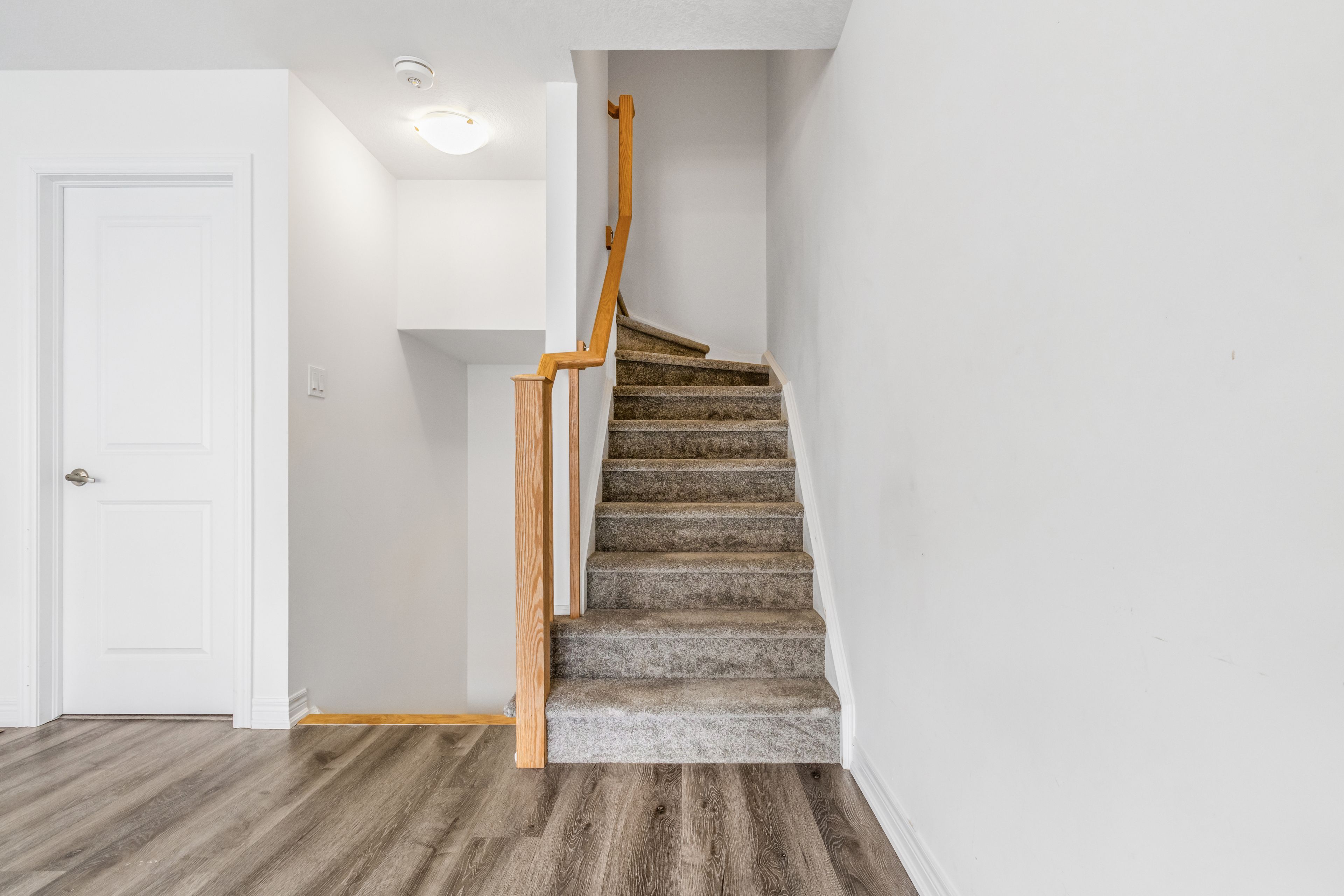 75 Dryden Lane