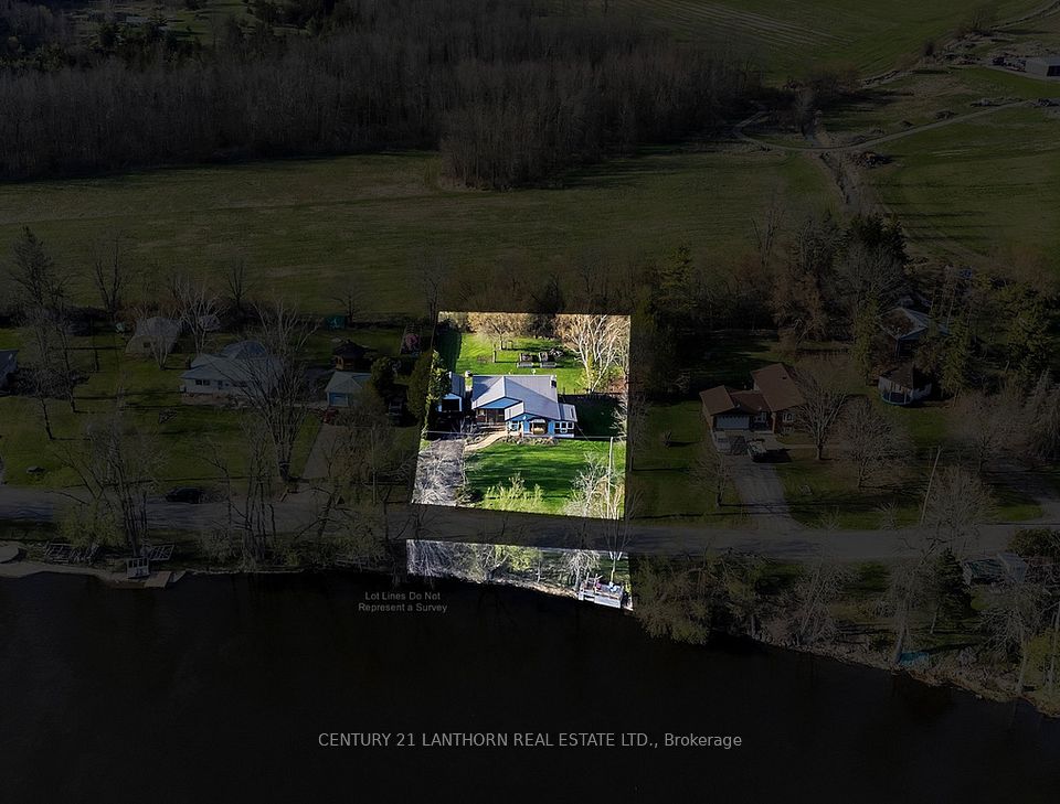 518 Rosebush