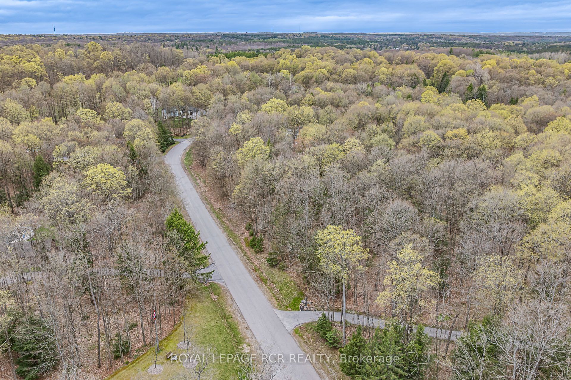 1 Beech Tree Lane