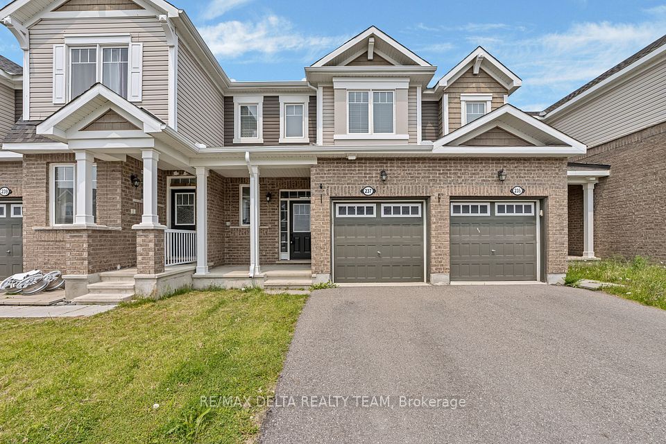 237 Willow Aster