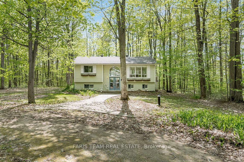 104 Silver Birch
