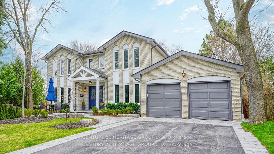 12 Cedar Forest
