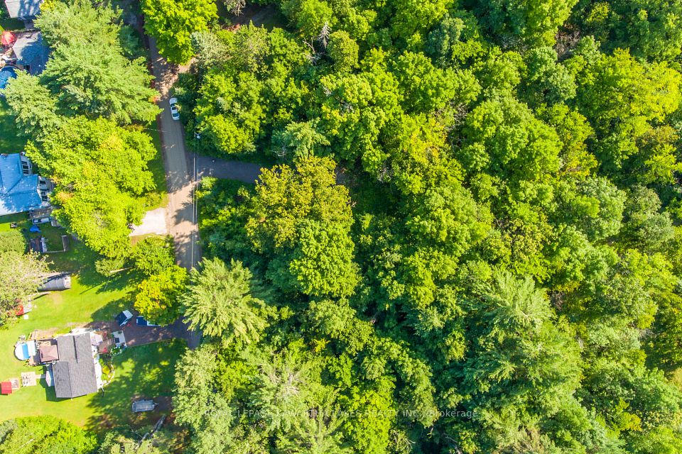 Lt 33 Benson Boulevard, Kawartha Lakes, ON K0M 1K0