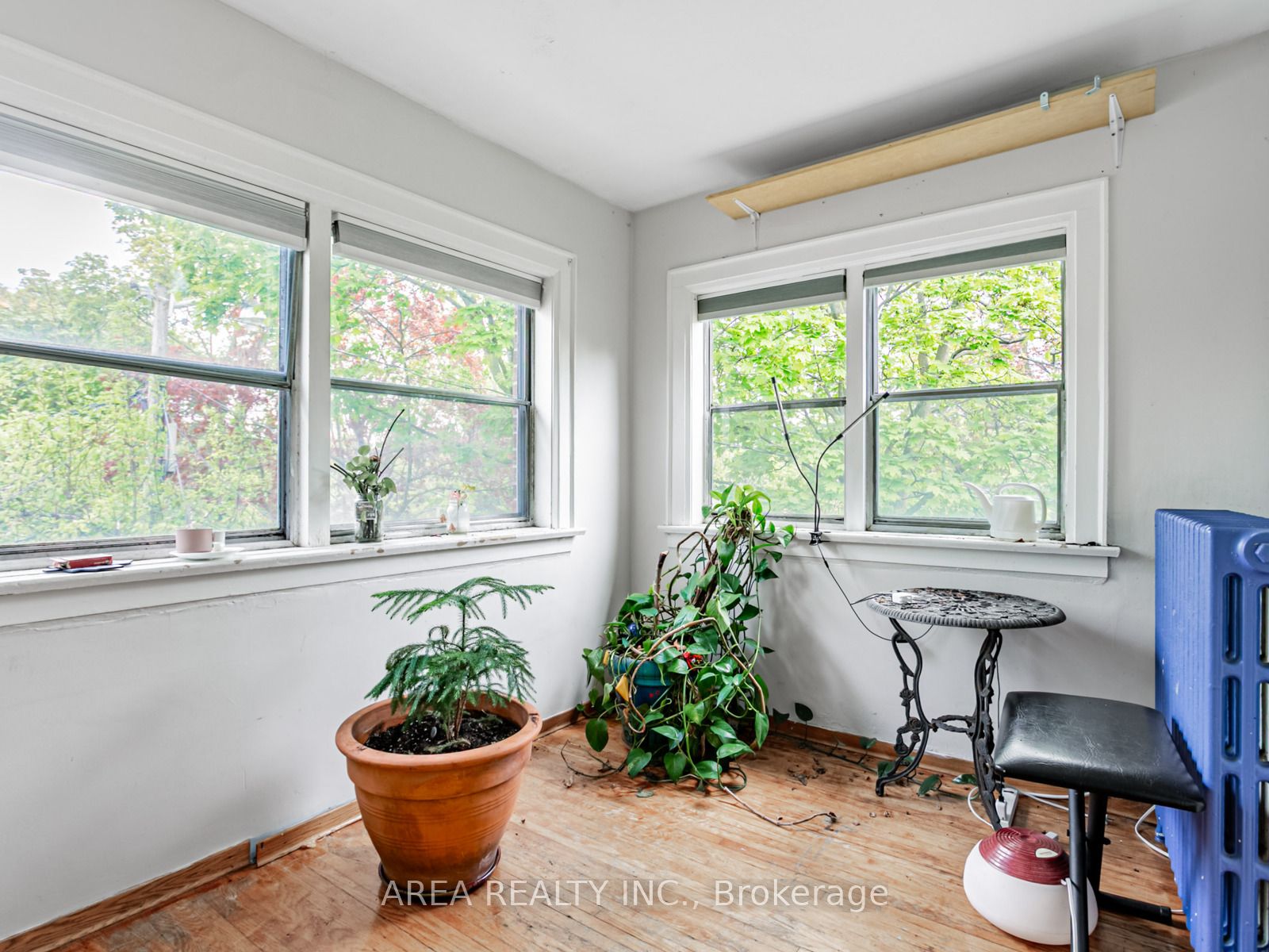 326A Harbord Street