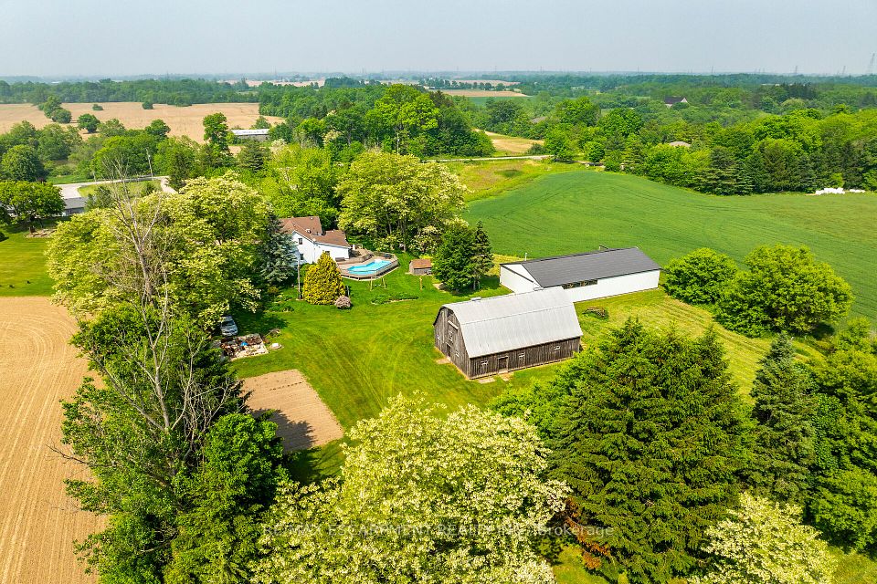 281 Big Creek