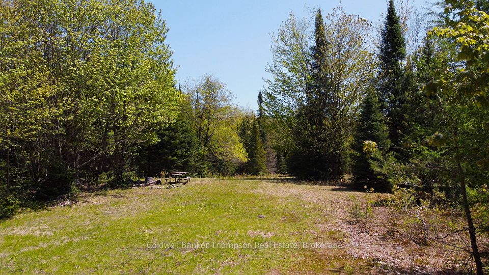 224 Madill Road, Armour, ON P0A 1C0