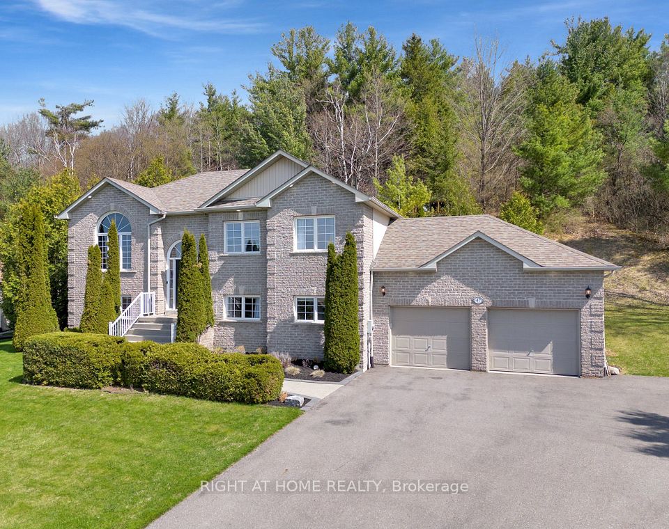 47 Meadowland