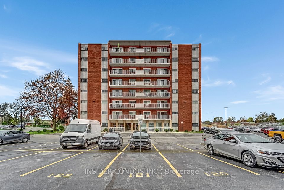 10 Woodman