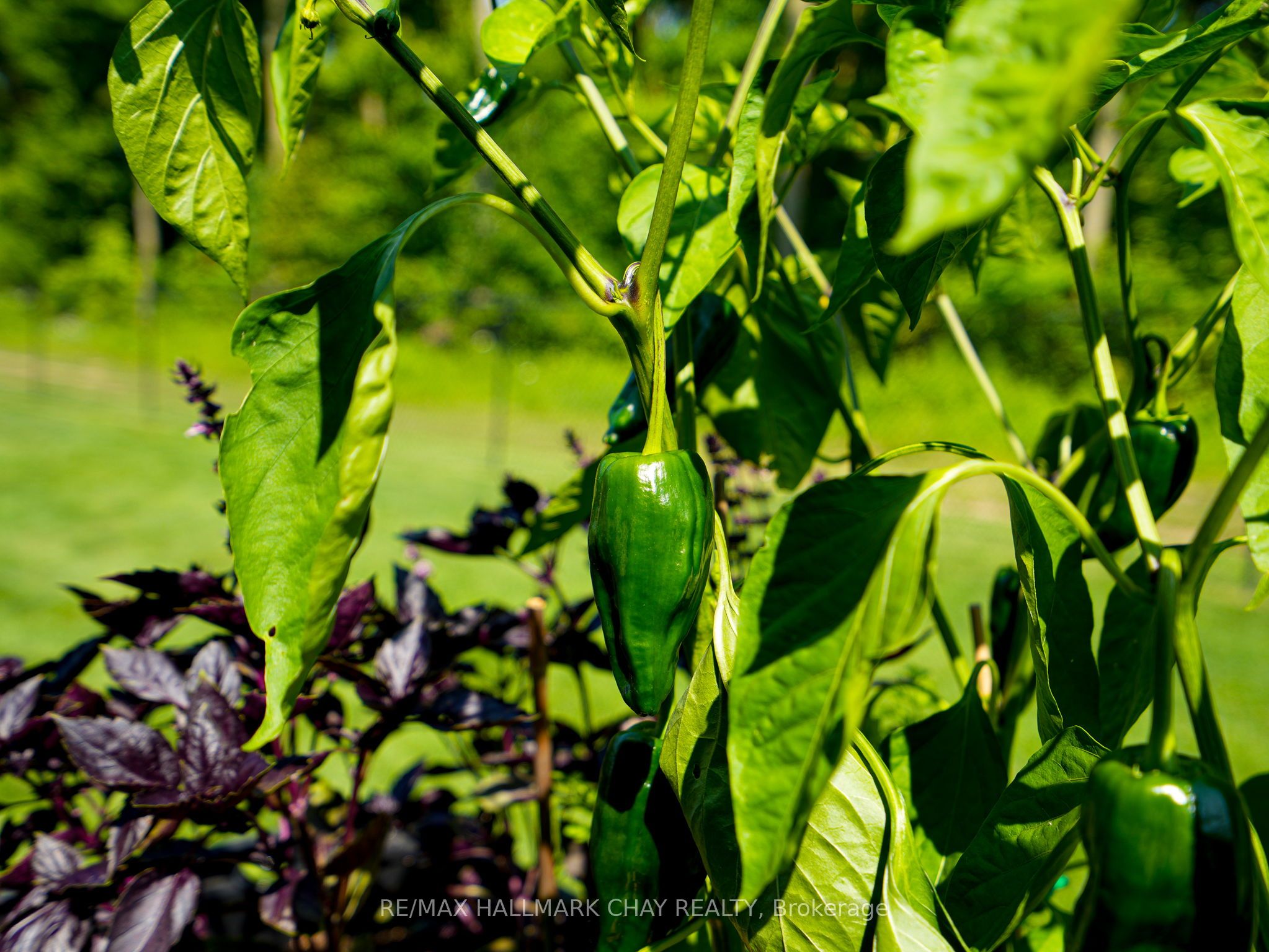 7558 Concession Road 2 Road