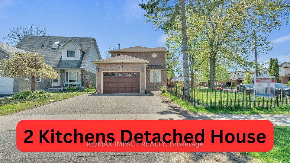 1 Beechnut