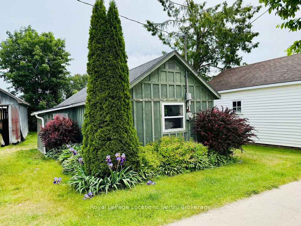 177 Collingwood