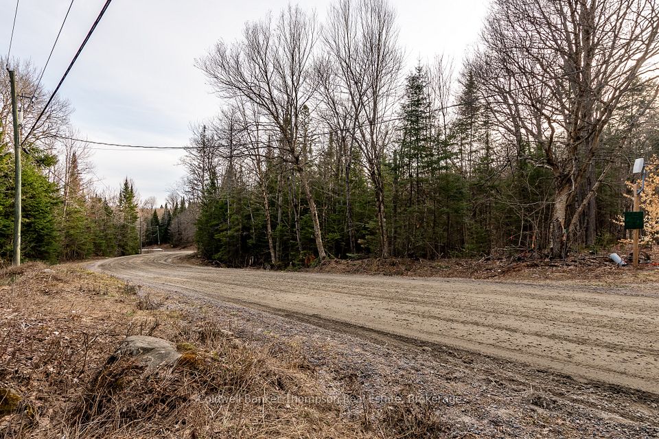 Lot 1 South Horn Lake Road, Armour, ON P0A 1C0
