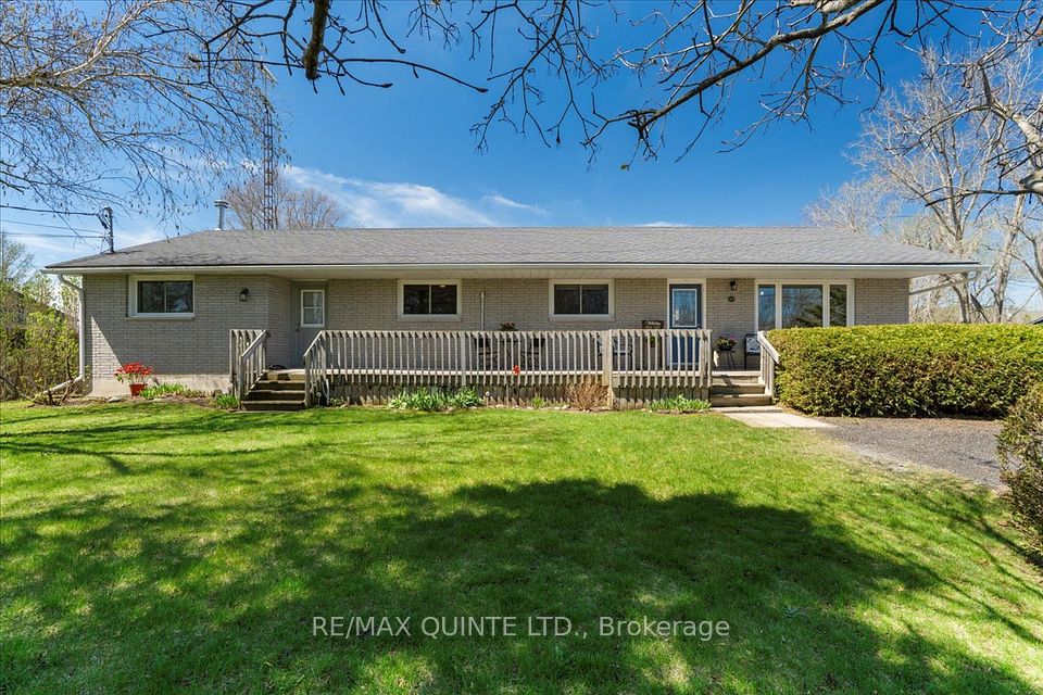321 Rosebush