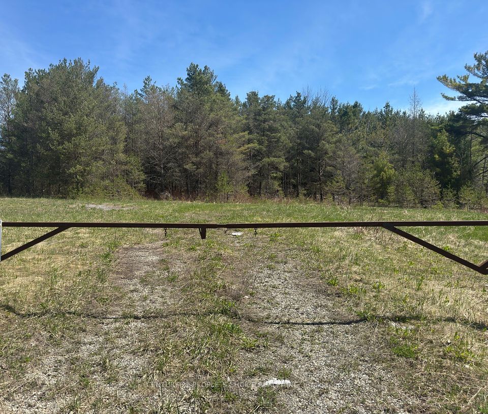 6081 Hwy 89, Clifford