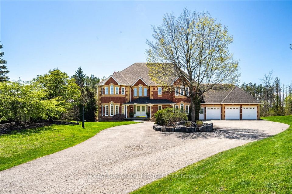 15316 Mount Wolfe