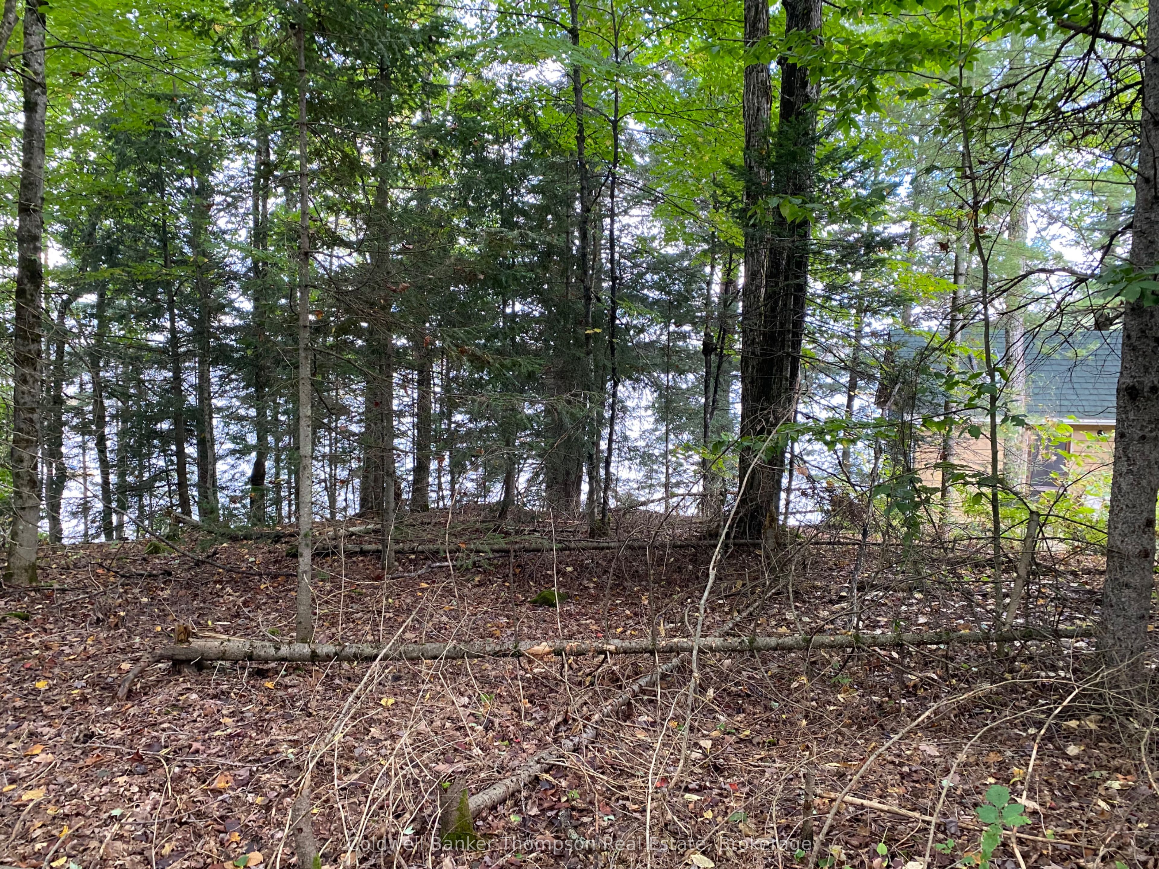 1080 Healey Lake Road, Bracebridge Macaulay