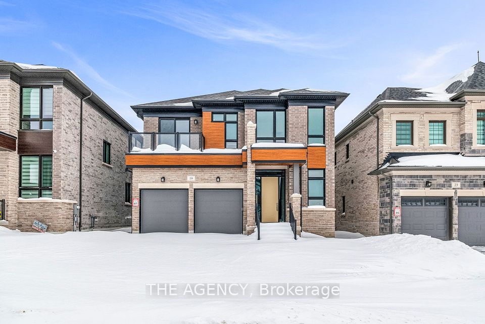 19 Tilden Street