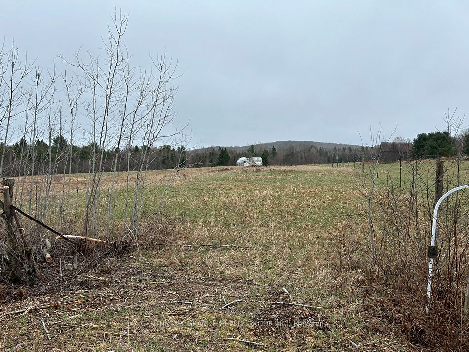 465 Mallard Lake